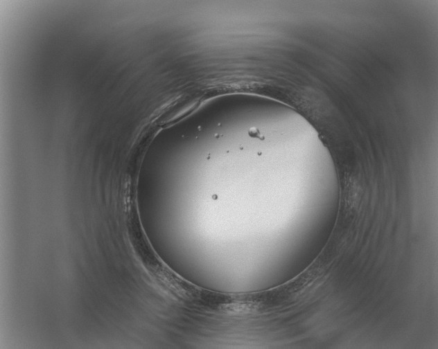 X0000059810356200511041659