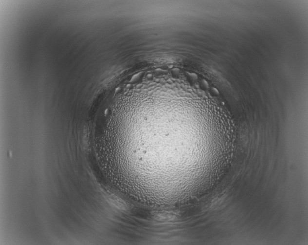 X0000059810359200511041659