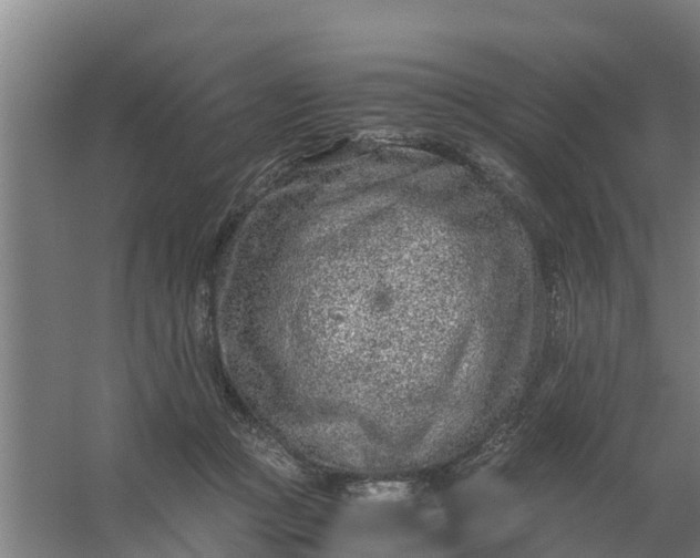 X0000059810361200511041659