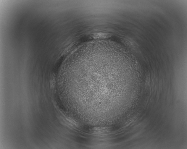 X0000059810367200511041659