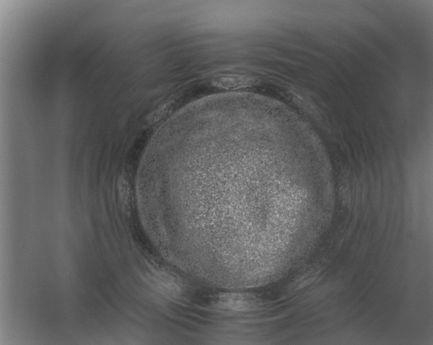 X0000059810371200511041700