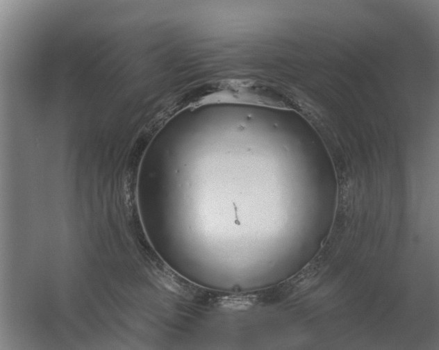 X0000059810373200511041700