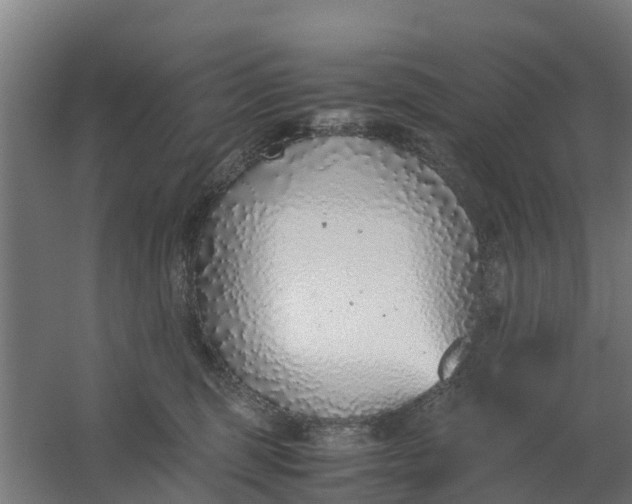 X0000059810375200511041700