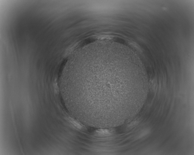 X0000059810381200511041700