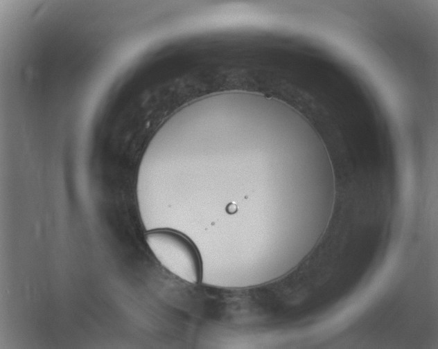 X0000059810382200511041700