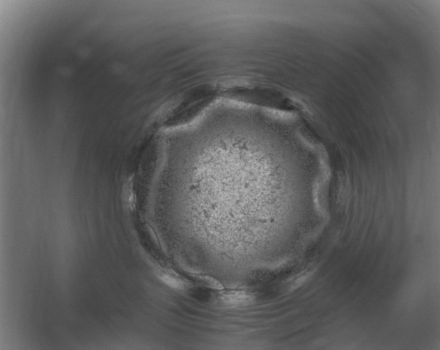 X0000059810383200511041700