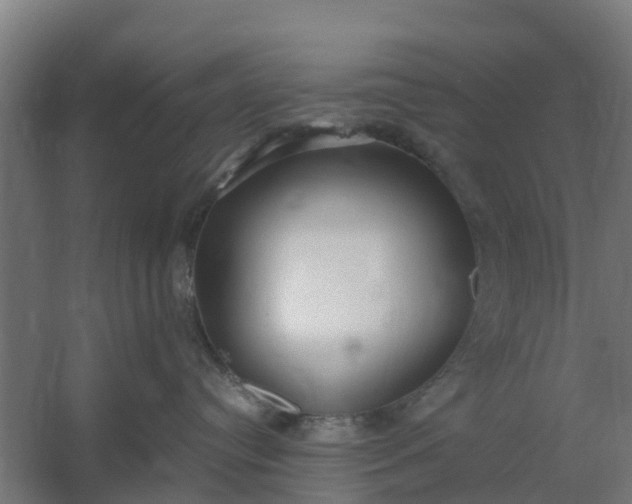 X0000059810384200511041700