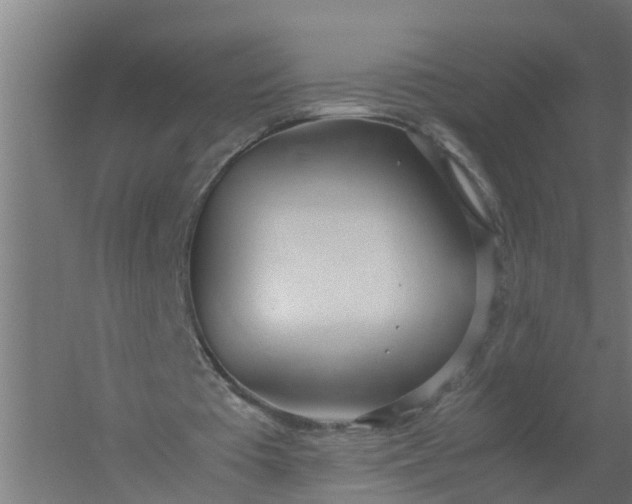 X0000059810385200511041659