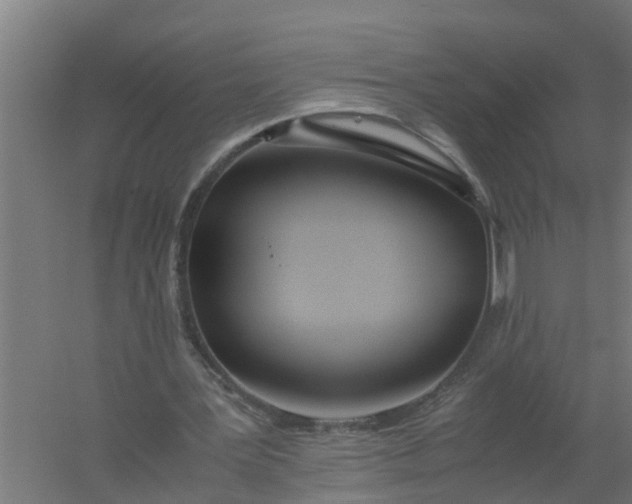 X0000059810387200511041659