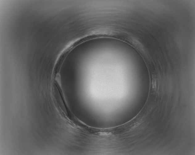 X0000059810388200511041659