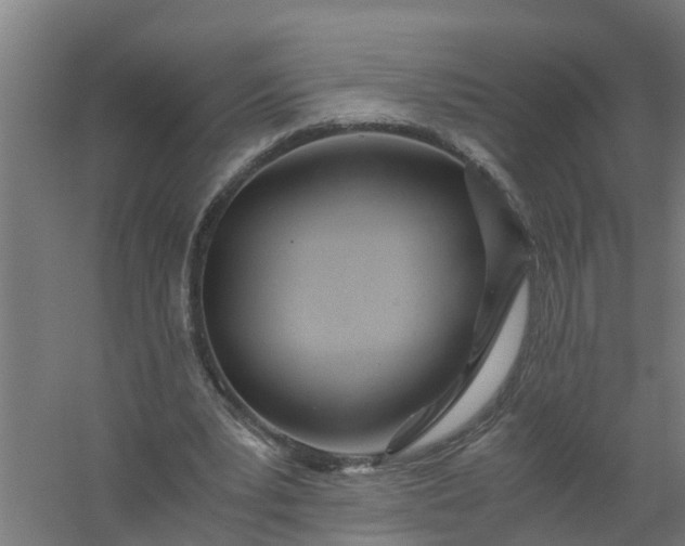 X0000059810391200511041659