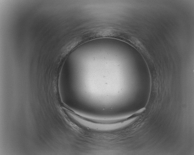 X0000059810393200511041659