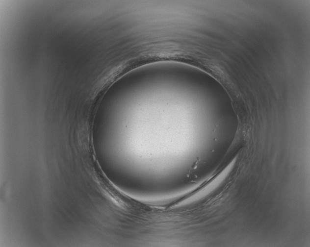 X0000059810397200511041659