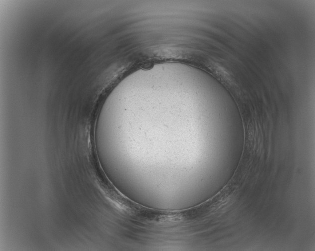 X0000059810398200511041659