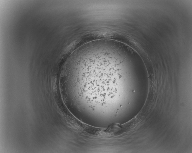 X0000059810403200511041659