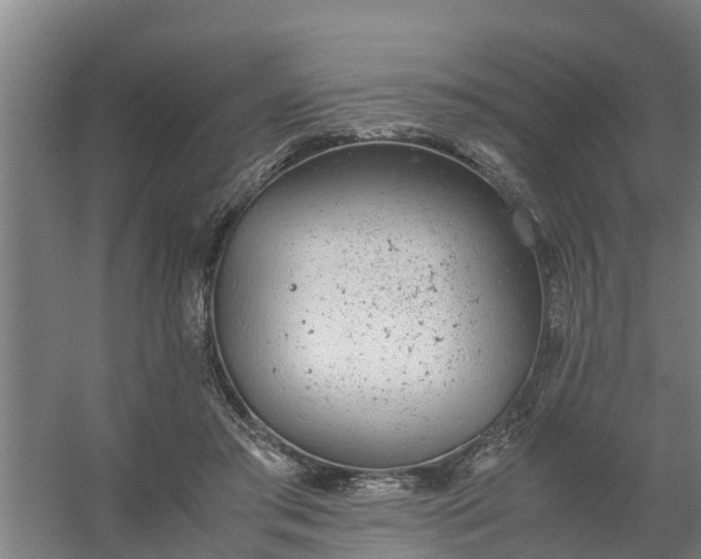 X0000059810405200511041659