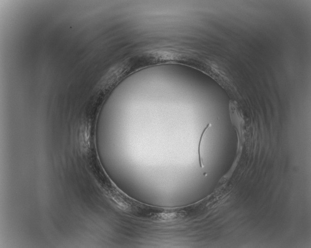 X0000059810406200511041659