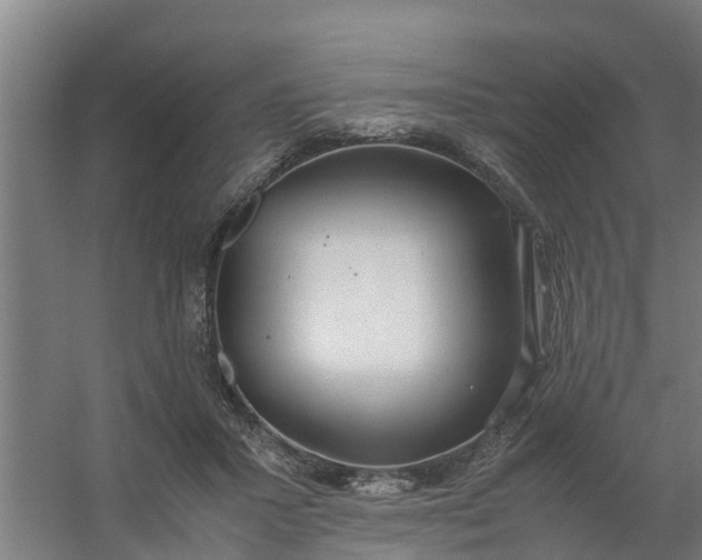 X0000059810407200511041659