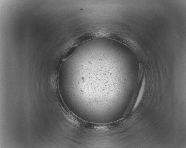 X0000059810409200511041659