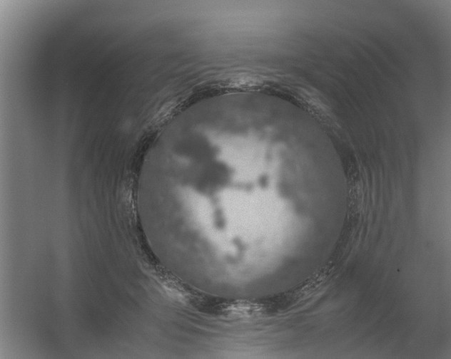 X0000059810415200511041658