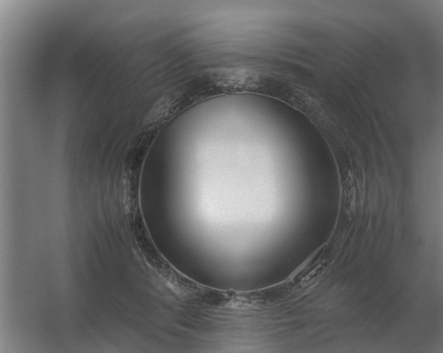 X0000059810416200511041658