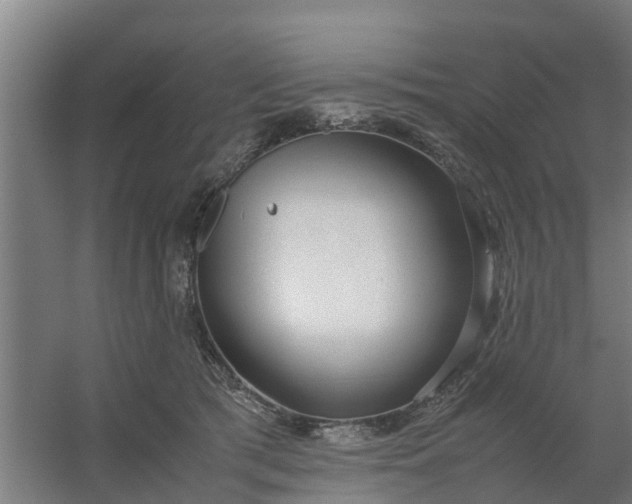 X0000059810417200511041658