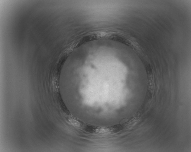 X0000059810419200511041658