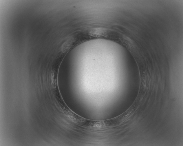 X0000059810420200511041658