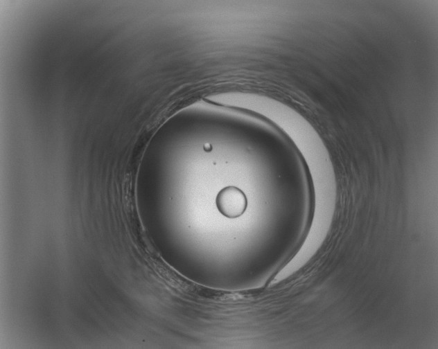 X0000059810421200511041658