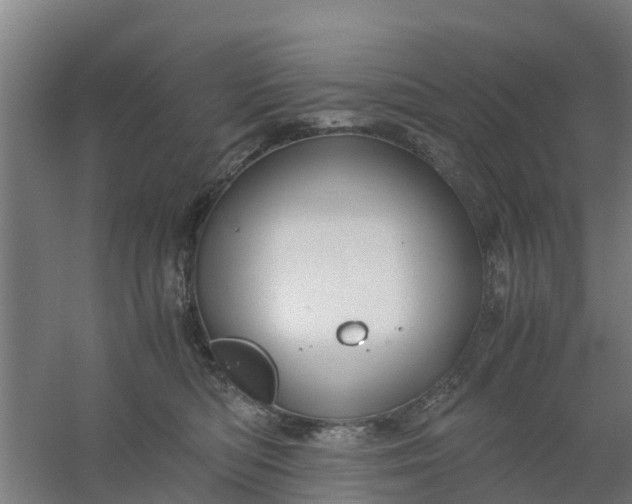 X0000059810422200511041658