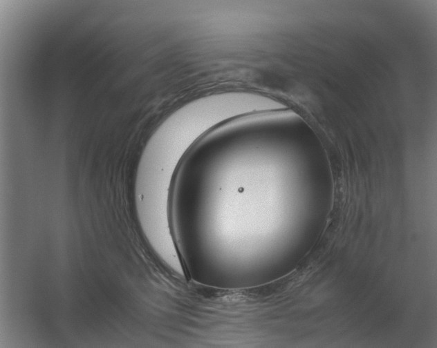 X0000059810423200511041658