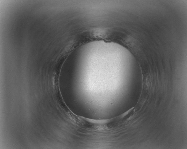 X0000059810424200511041658