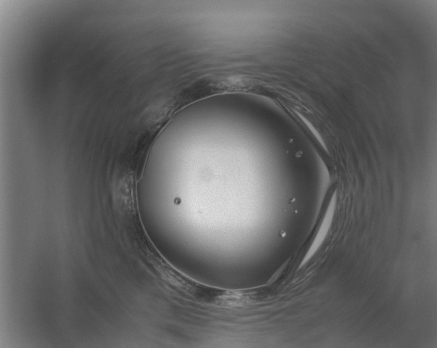 X0000059810425200511041658