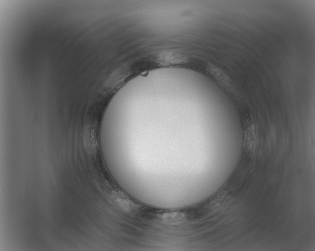 X0000059810426200511041658