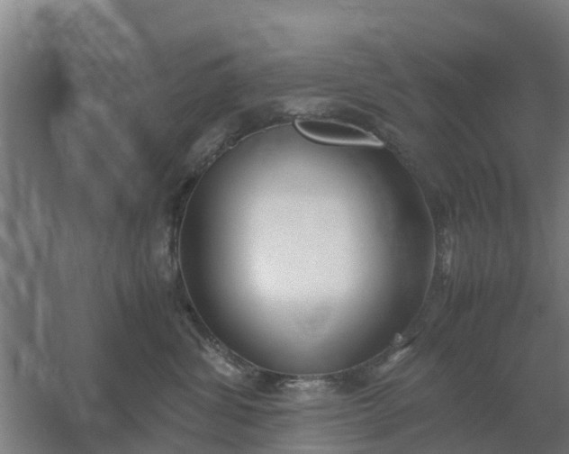 X0000059810428200511041658