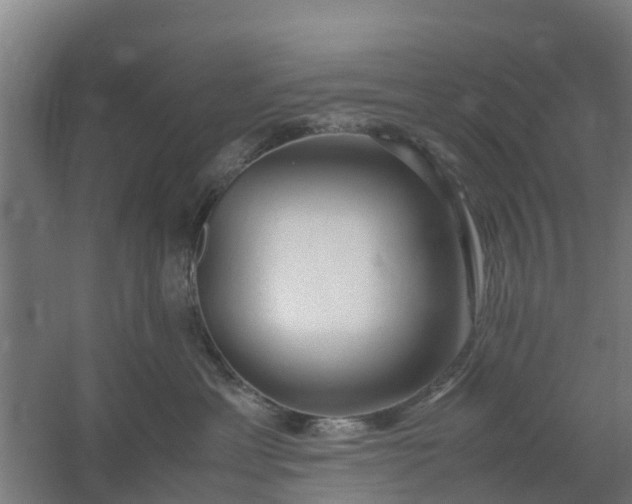 X0000059810429200511041658