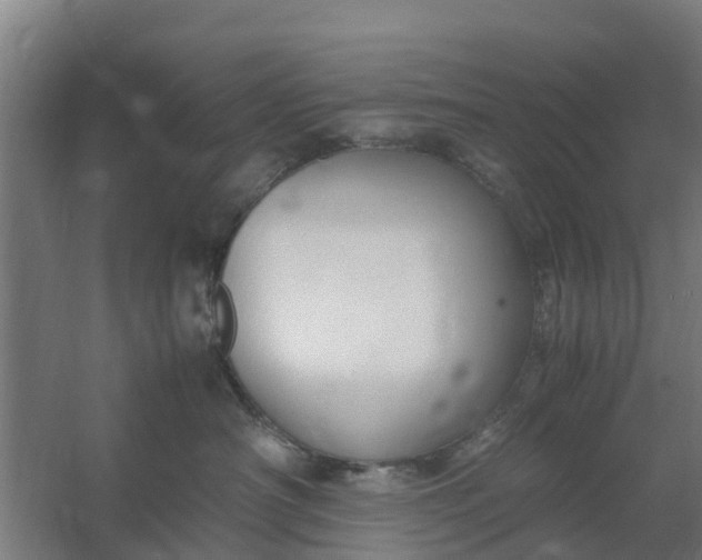 X0000059810430200511041658