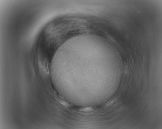 X0000059810431200511041658