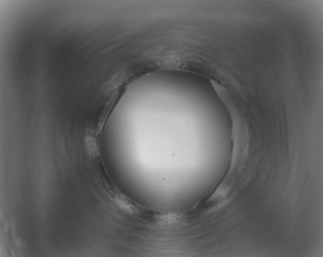 X0000059810432200511041658