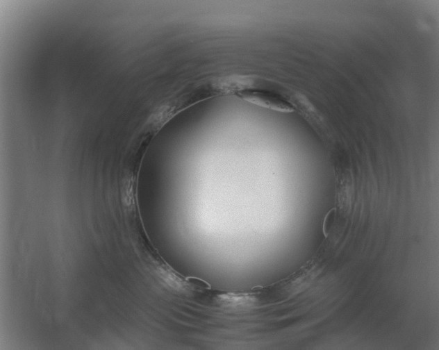 X0000059810477200511041658