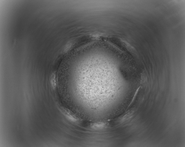 X0000059810479200511041658