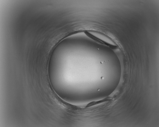 X0000059810481200511041657