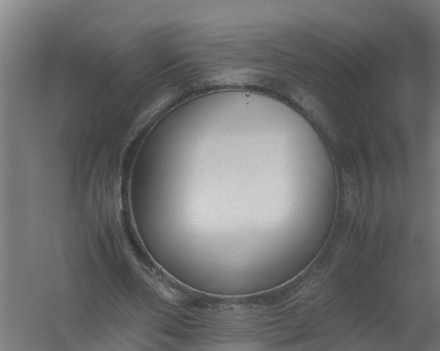 X0000059810486200511041657