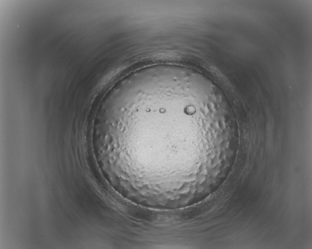 X0000059810487200511041657