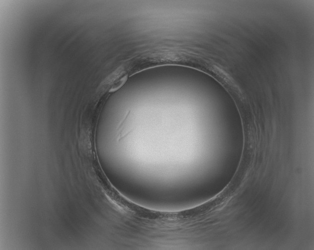 X0000059810489200511041657