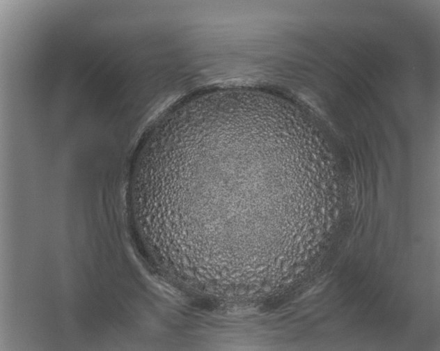 X0000059810491200511041657