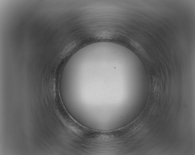 X0000059810494200511041657