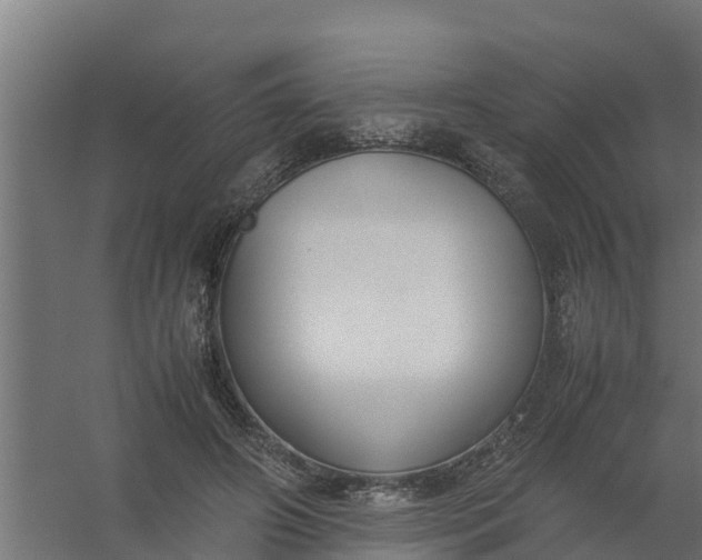 X0000059810498200511041657