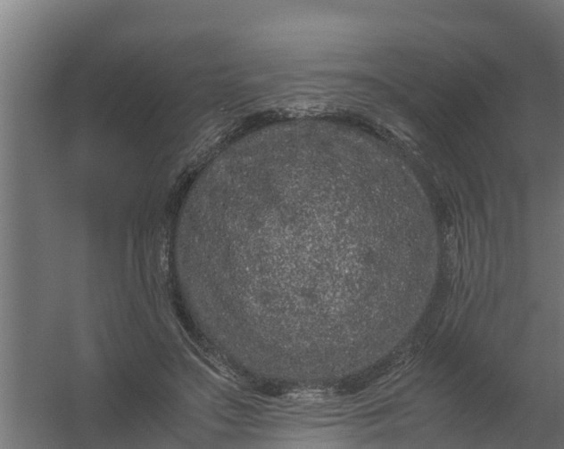 X0000059810499200511041657