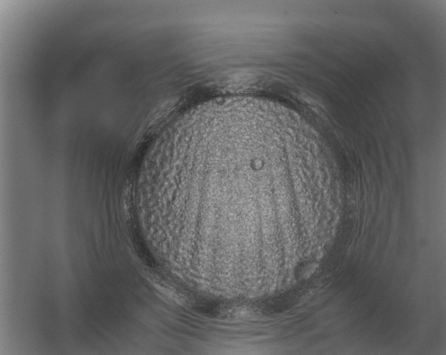 X0000059810503200511041657